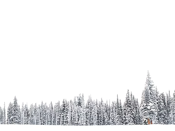 Snow Array Geometry Removable Background Pine Array Airspace Breathing Transverse Structure Snow Domain Negative Space Snow Forest Exterior Scene texture (ID:ffach812263)