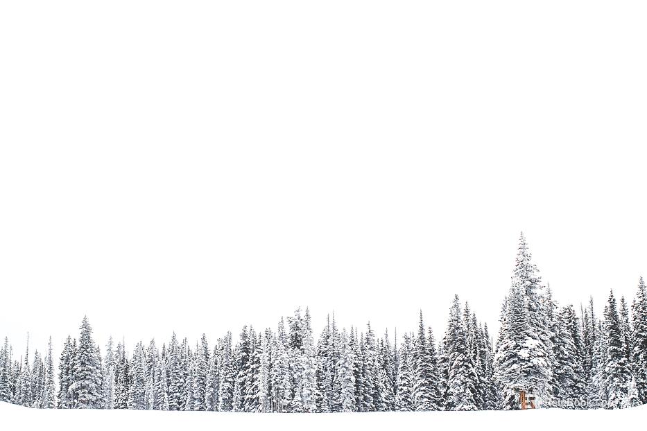 Snow Array Geometry Removable Background Pine Array Airspace Breathing Transverse Structure Snow Domain Negative Space Snow Forest Exterior Scene texture