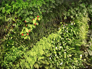 Plant painting texture (ID:ffagg83335)