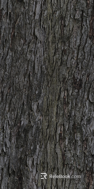 bark texture
