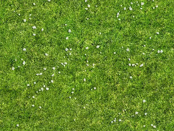 Turf texture (ID:ffaeg41721)