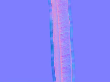 Pink purple gradient vein decorative elements texture (ID:ffaeh389026)