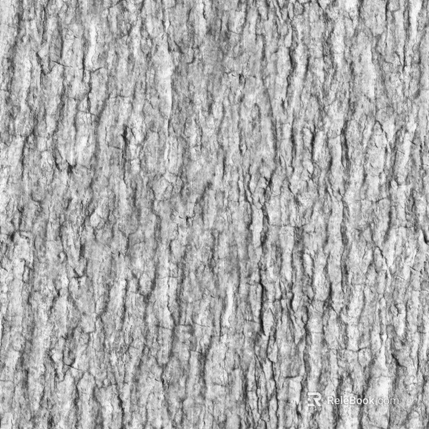 bark texture