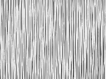 Black and White Bump 3d model