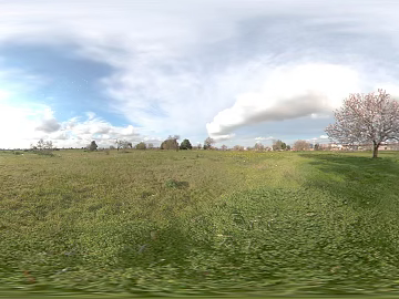 Outdoor Grass Day HDR Map texture (ID:ffabg59381)