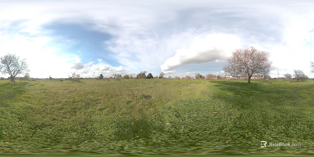 Outdoor Grass Day HDR Map texture