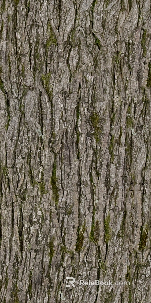 bark texture