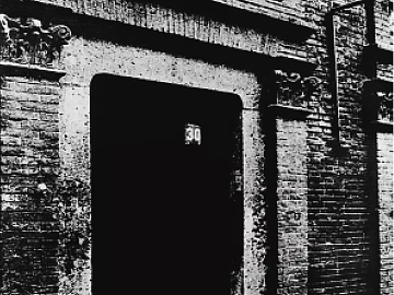 black and white texture (ID:ffacg20876)