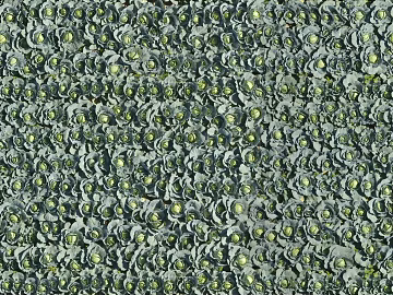 Turf ground texture (ID:ffaaf8804)
