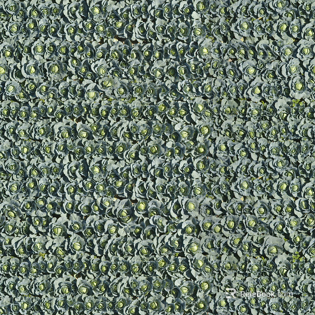 Turf ground texture