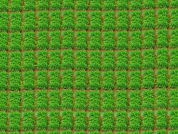 Turf texture (ID:ffaag89871)