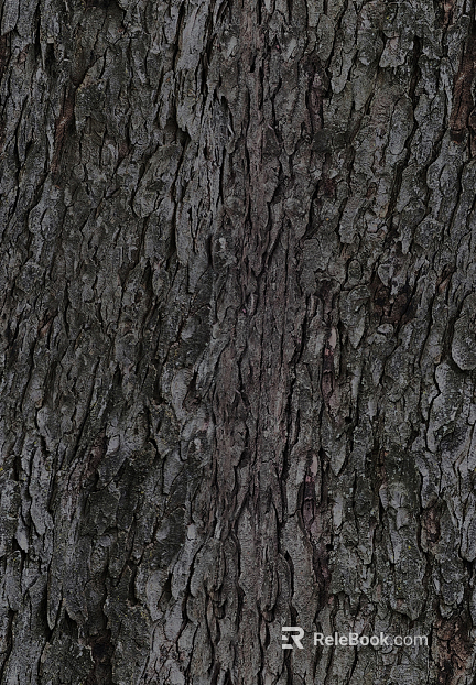 bark texture