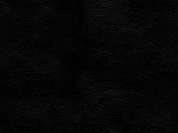 fine grain leather 3d model