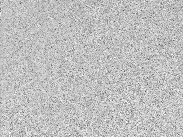 Black and White Bump 3d model