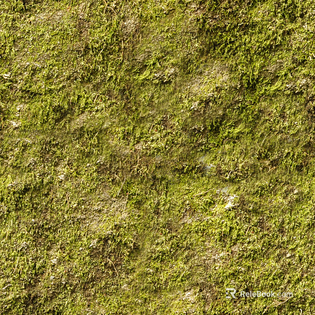 moss texture