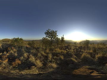 Outdoor Grass View Dusk HDR texture (ID:ffaff7297)