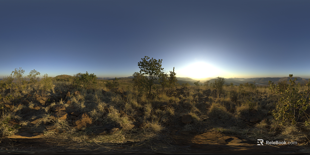 Outdoor Grass View Dusk HDR texture