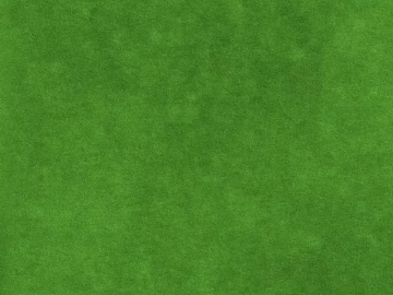 Turf texture (ID:ffajg01189)