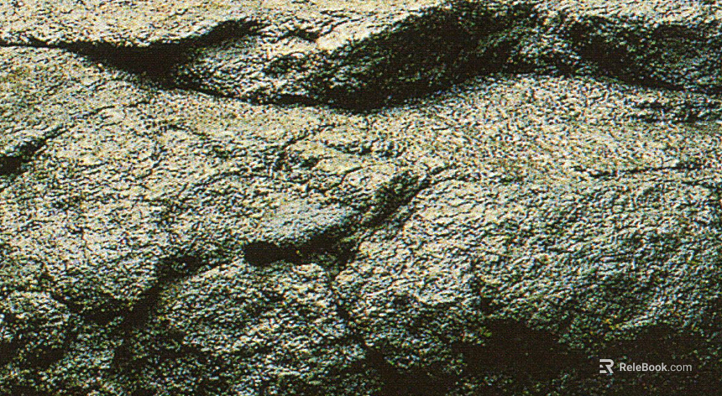 Rock texture